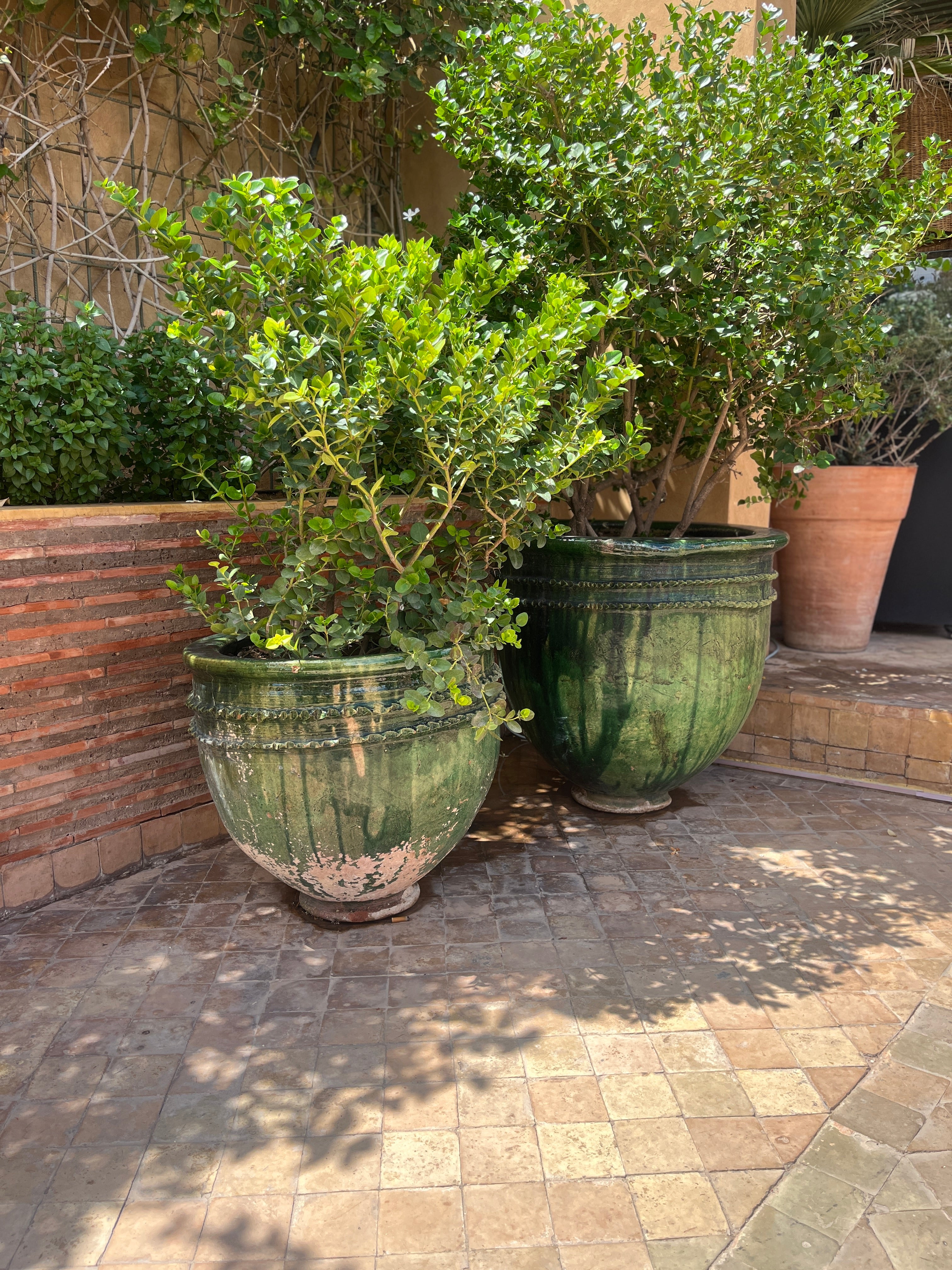 Grønn glasert terrakotta urne