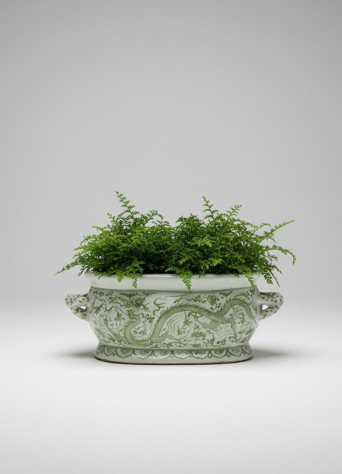 Hvit og grønn drage jardinière blomsterpotte